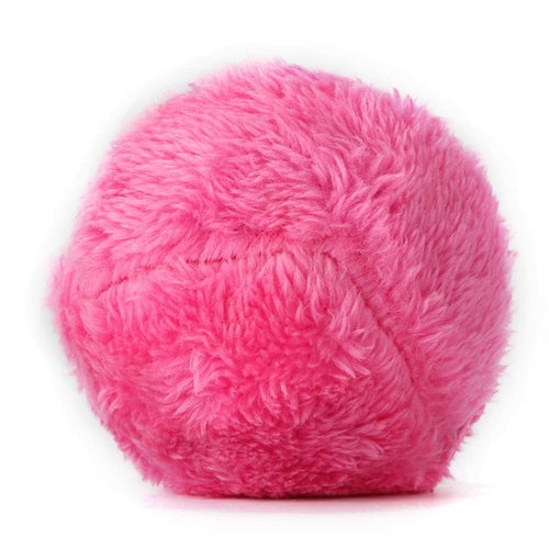 Magic Roller Ball Interactive Pet Toy