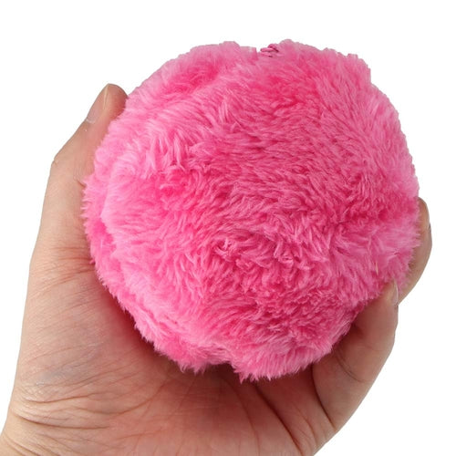 Magic Roller Ball Interactive Pet Toy