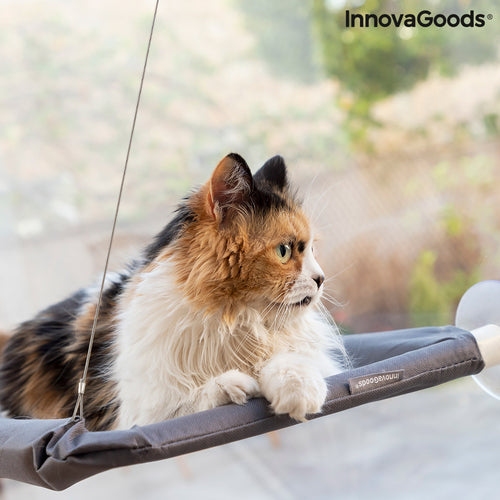 Catlax Hanging Window Cat Hammock