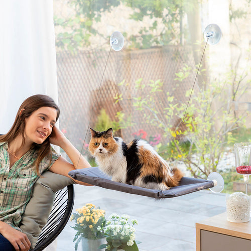 Catlax Hanging Window Cat Hammock