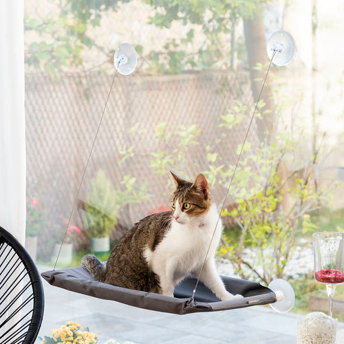 Catlax Hanging Window Cat Hammock