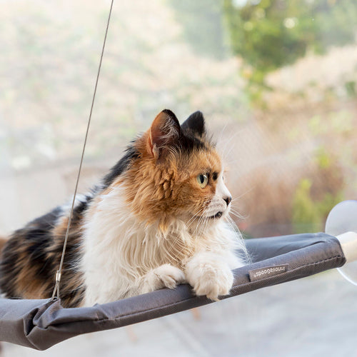 Catlax Hanging Window Cat Hammock