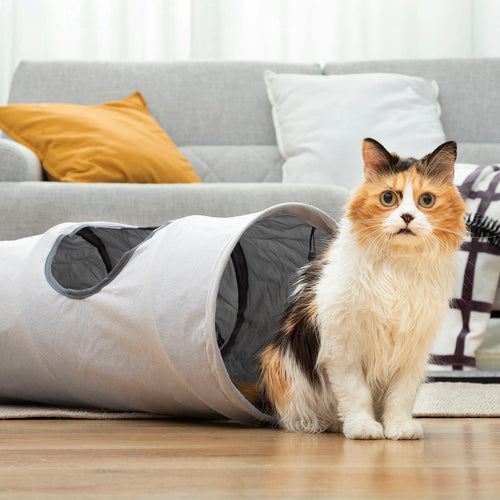 Funnyl Collapsible Cat Tunnel Toy by InnovaGoods