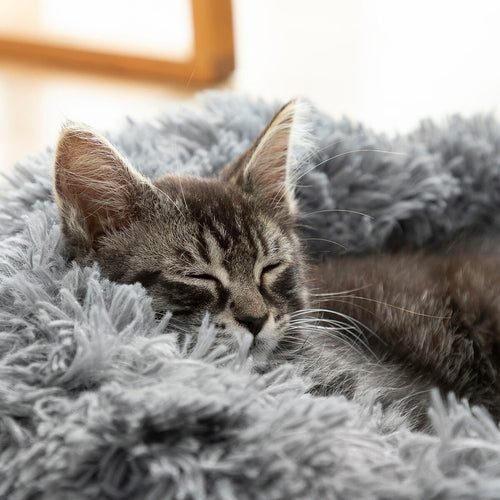 Bepess Anti-Stress Calming Pet Bed – Ø 60cm